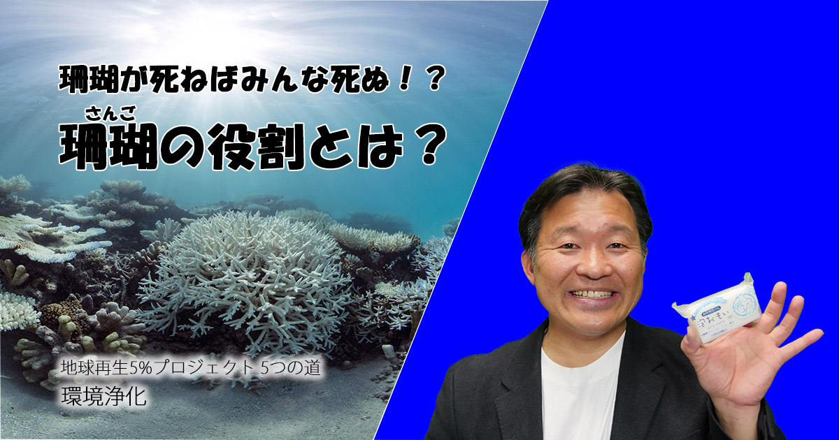 超重要な珊瑚の役割とは？